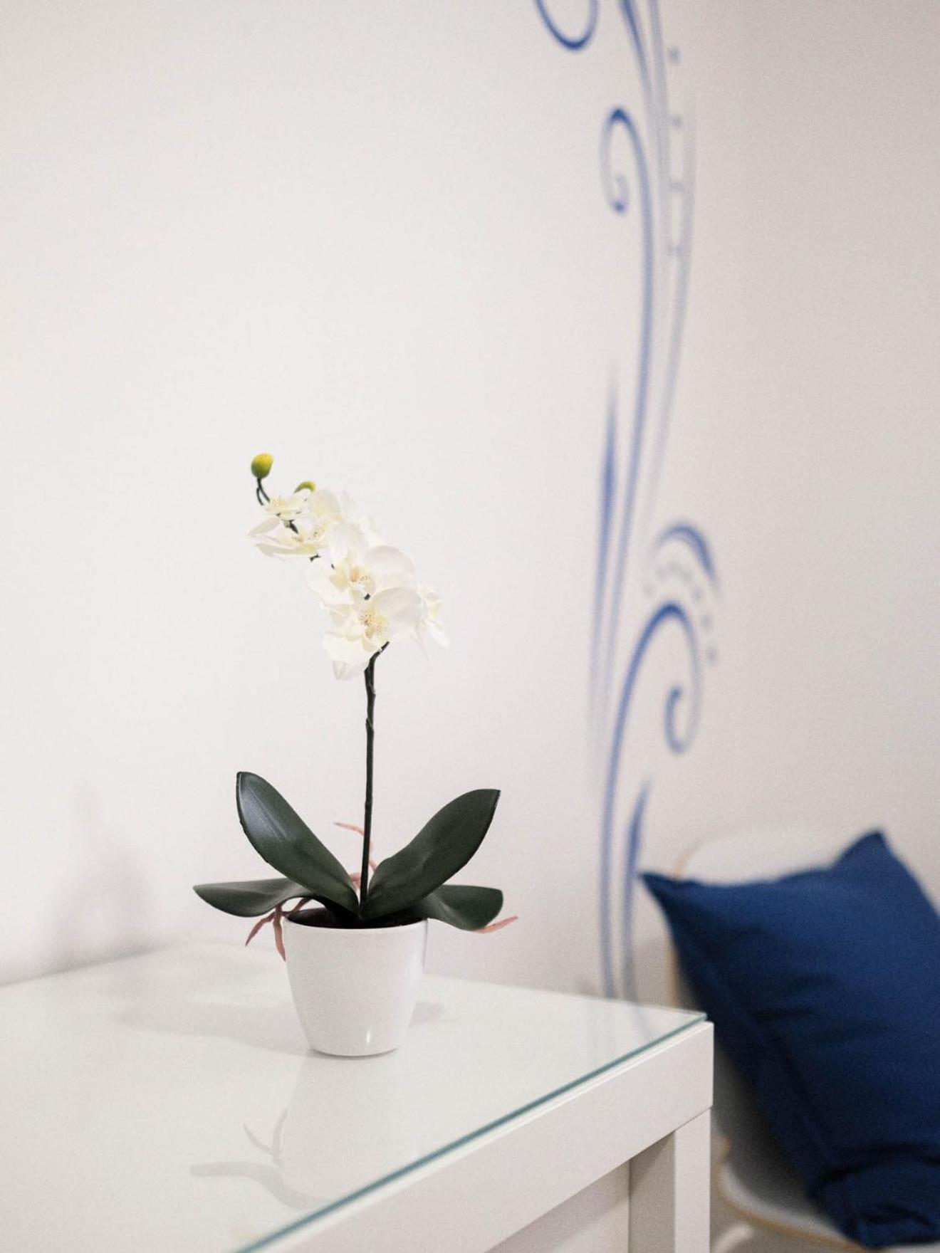 Cazenn Nazare - Apartment Z Zewnętrze zdjęcie